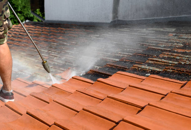 Best Roof Pressure Washing  in South Euclid, OH